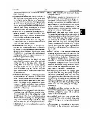 Từ điển y học anh việt