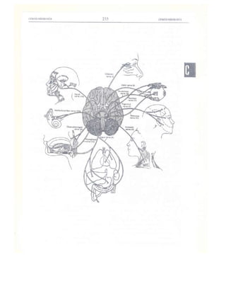 Từ điển y học anh việt