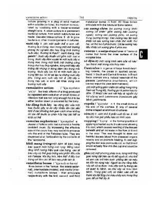 Từ điển y học anh việt