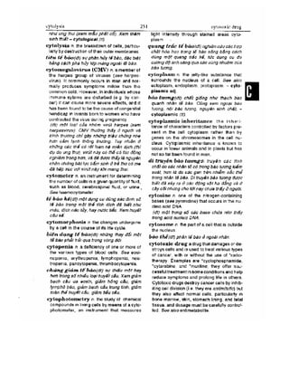 Từ điển y học anh việt