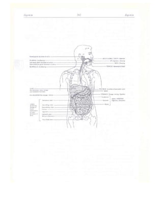 Từ điển y học anh việt