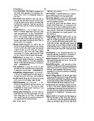 Từ điển y học anh việt