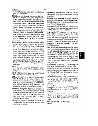 Từ điển y học anh việt