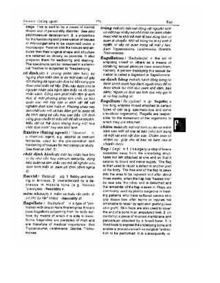 Từ điển y học anh việt