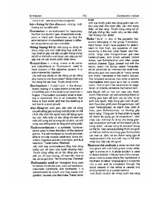 Từ điển y học anh việt