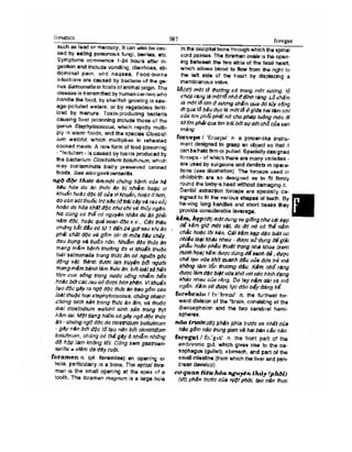 Từ điển y học anh việt