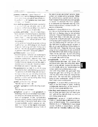 Từ điển y học anh việt