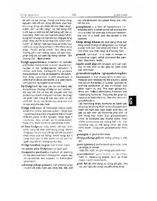 Từ điển y học anh việt