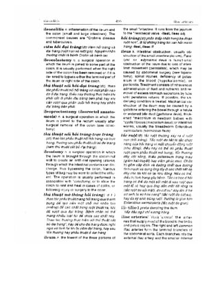 Từ điển y học anh việt