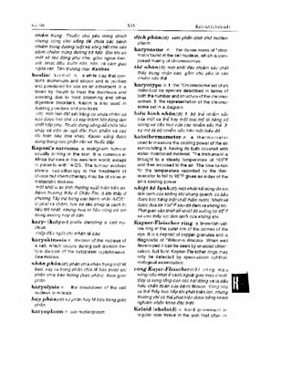 Từ điển y học anh việt