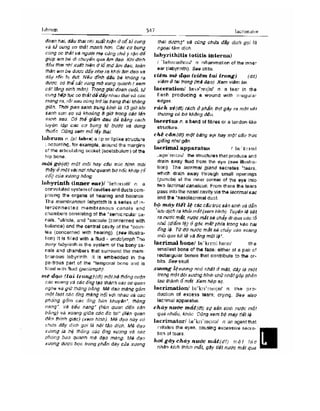 Từ điển y học anh việt