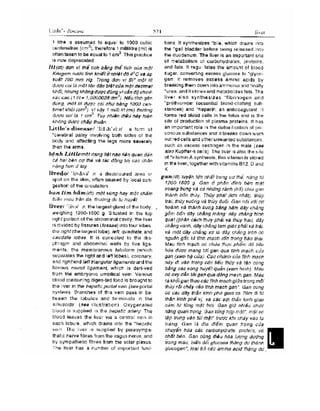 Từ điển y học anh việt