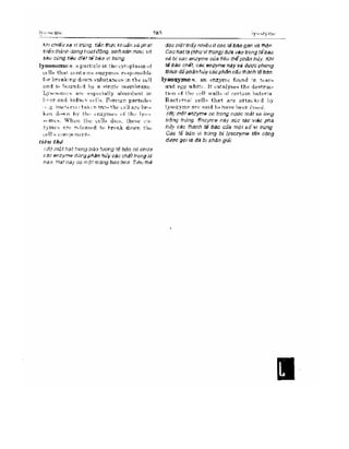 Từ điển y học anh việt