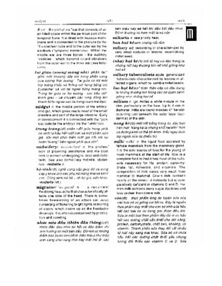 Từ điển y học anh việt