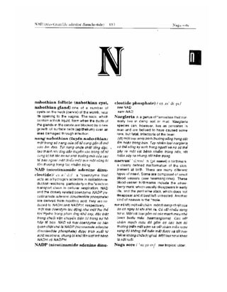 Từ điển y học anh việt