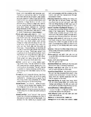 Từ điển y học anh việt