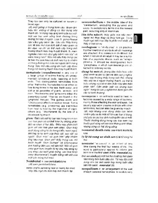 Từ điển y học anh việt