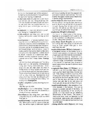 Từ điển y học anh việt