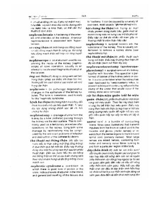 Từ điển y học anh việt