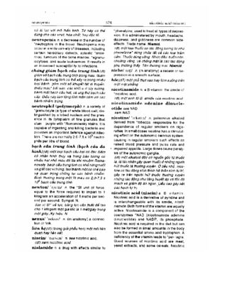 Từ điển y học anh việt