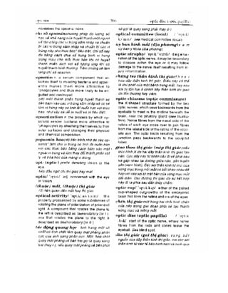 Từ điển y học anh việt