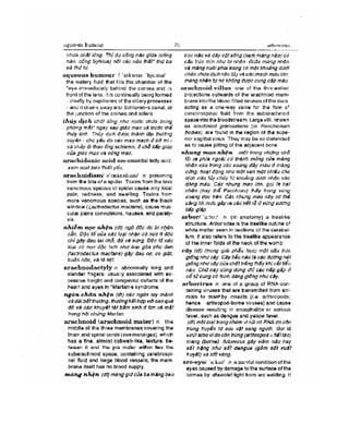 Từ điển y học anh việt