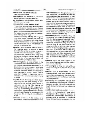 Từ điển y học anh việt