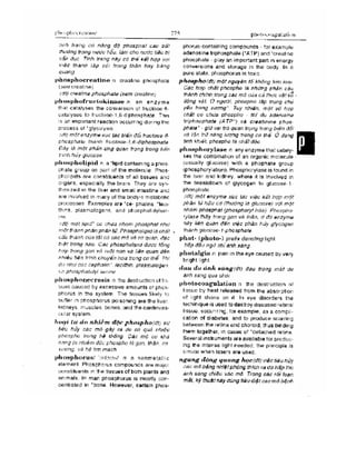 Từ điển y học anh việt