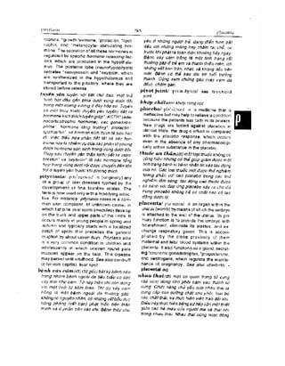 Từ điển y học anh việt