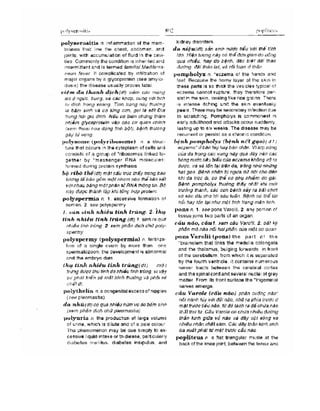 Từ điển y học anh việt