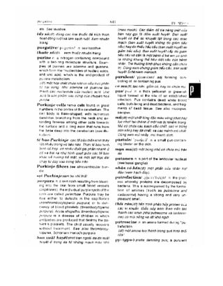 Từ điển y học anh việt