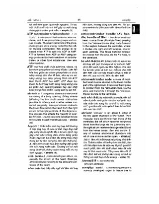 Từ điển y học anh việt