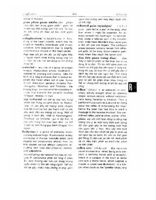 Từ điển y học anh việt