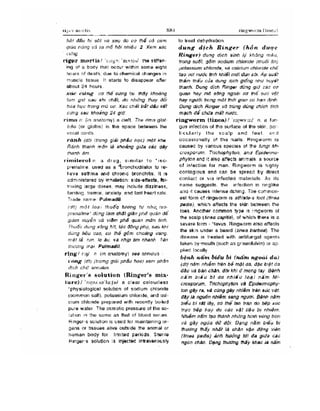 Từ điển y học anh việt