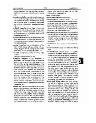 Từ điển y học anh việt