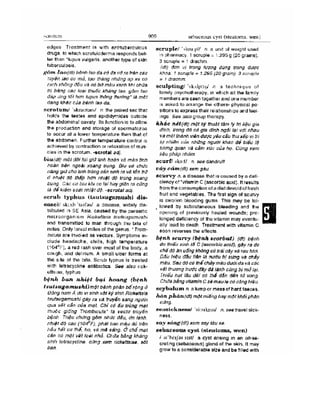 Từ điển y học anh việt