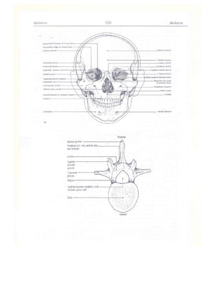 Từ điển y học anh việt