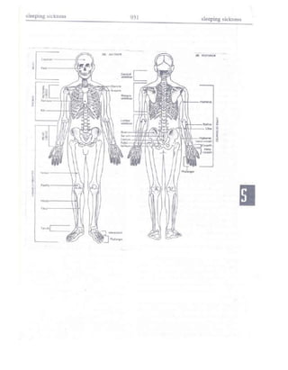 Từ điển y học anh việt