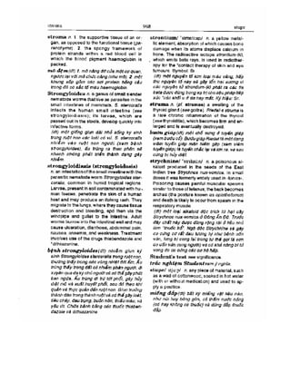 Từ điển y học anh việt