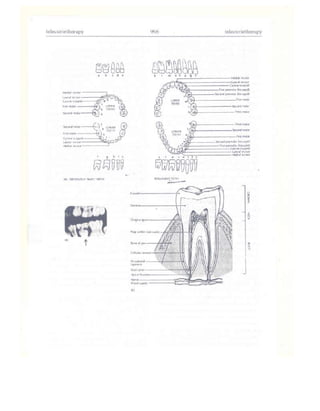 Từ điển y học anh việt