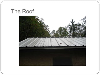 The Roof

 