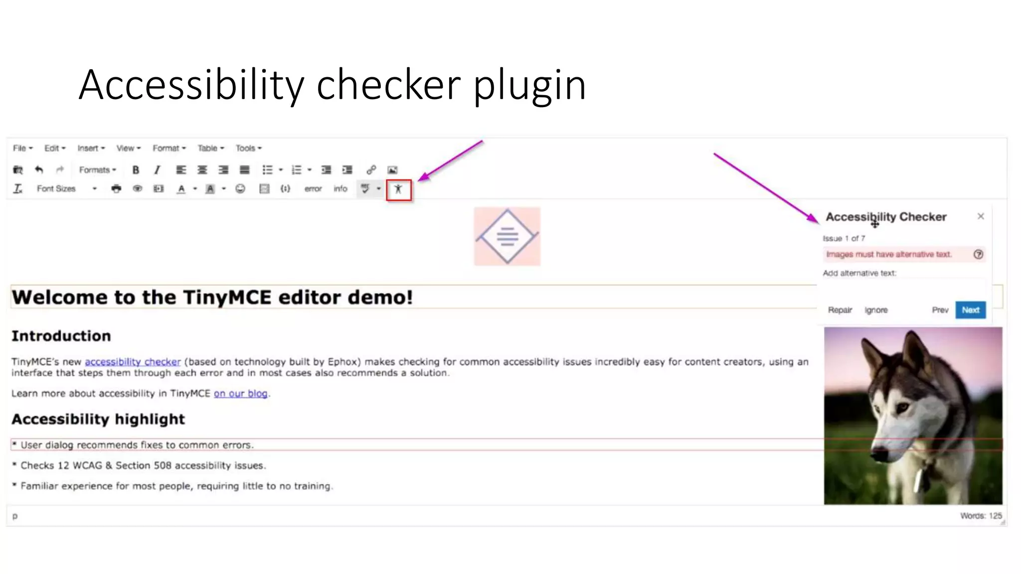 Accessibility checker plugin
 