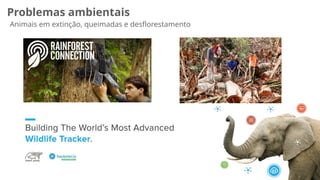 Problemas ambientais
Animais em extinção, queimadas e desﬂorestamento
 