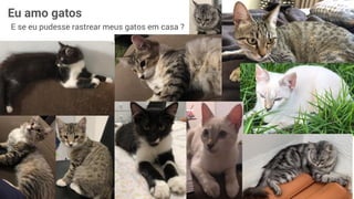 E se eu pudesse rastrear meus gatos em casa ?
Eu amo gatos
 