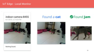 50
Found a cat Found Jam
 