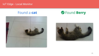 51
Found a cat Found Berry
 