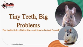 Tiny Teeth, Big
Problems
The Health Risks of Mice Bites, and How to Protect Yourself
www.mdkpest.com
 