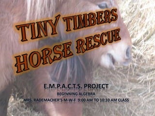 Tiny Timbers Horse Rescue E.M.P.A.C.T.S. Project Beginning Algebra Mrs. Rademacher’s M-W-F  9:00 AM to 10:10 AM class 