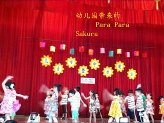 幼儿园带来的
     Para Para
Sakura
 