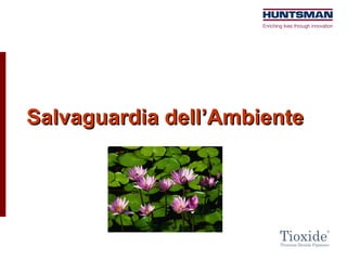 Salvaguardia dell’Ambiente 